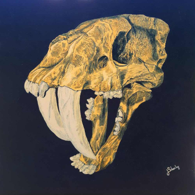 Smilodon