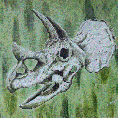 Triceratops Horridus