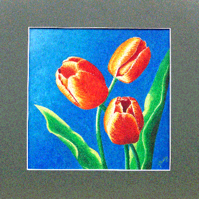 Tulip Trio