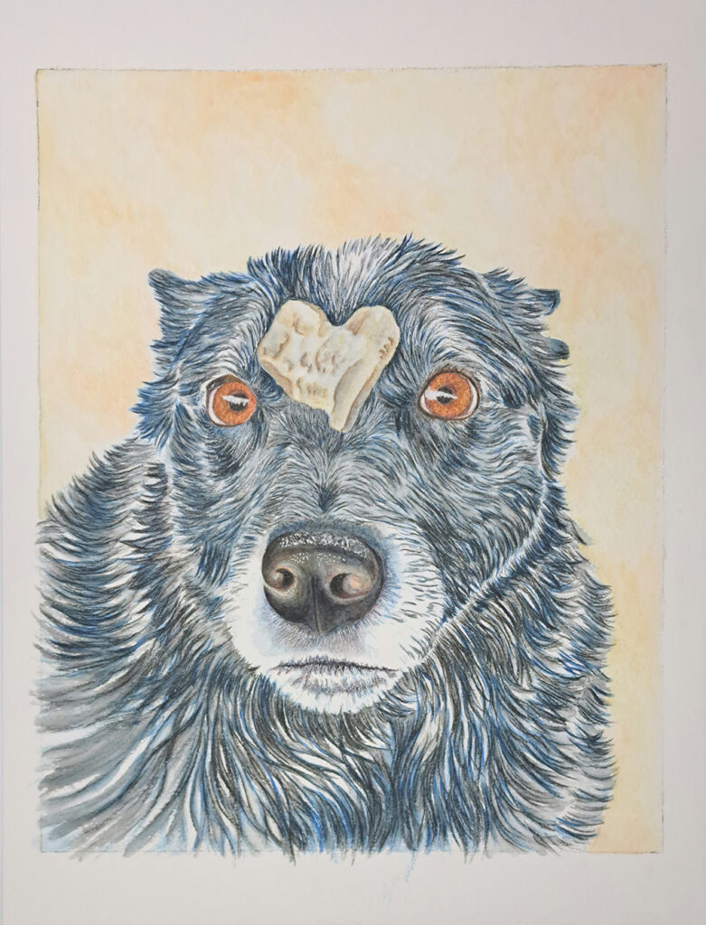 black dog with heart on forehead