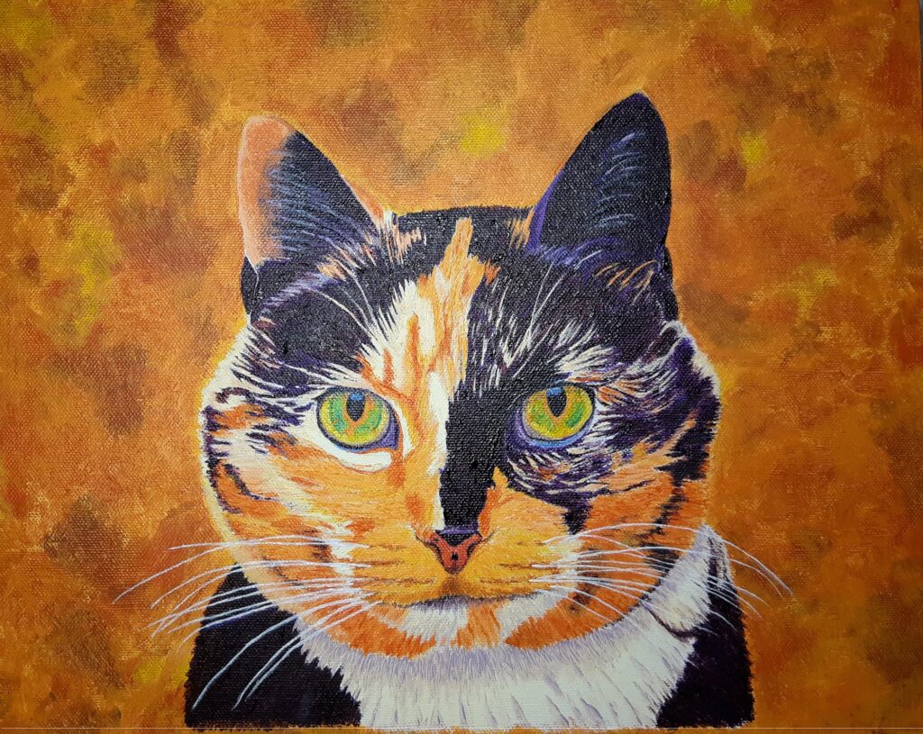 calico cat on orange background