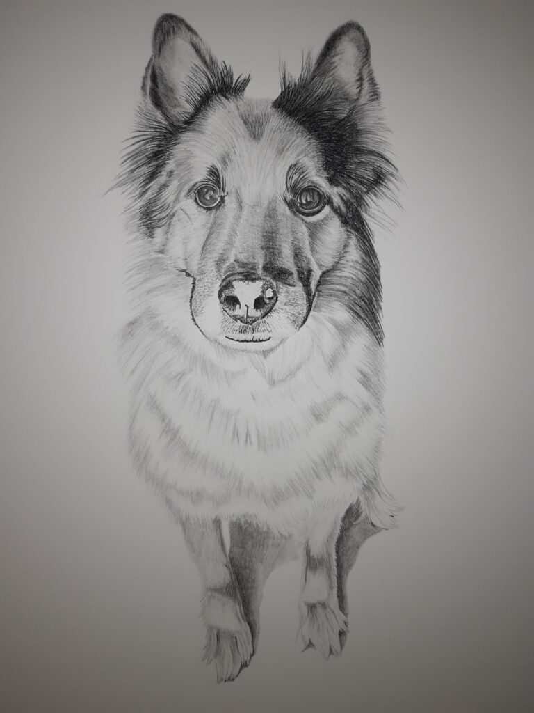 dog black and white sketch