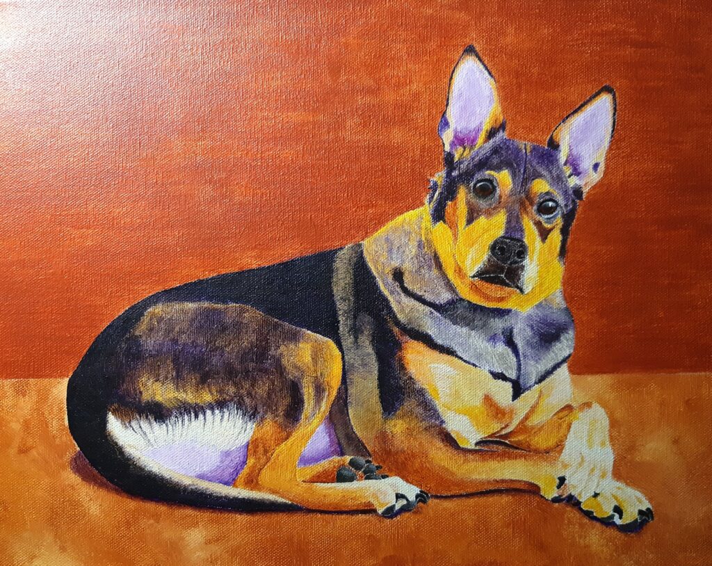 dog on orange background