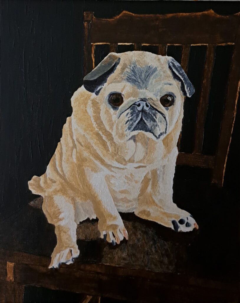 pug on kitchen chair