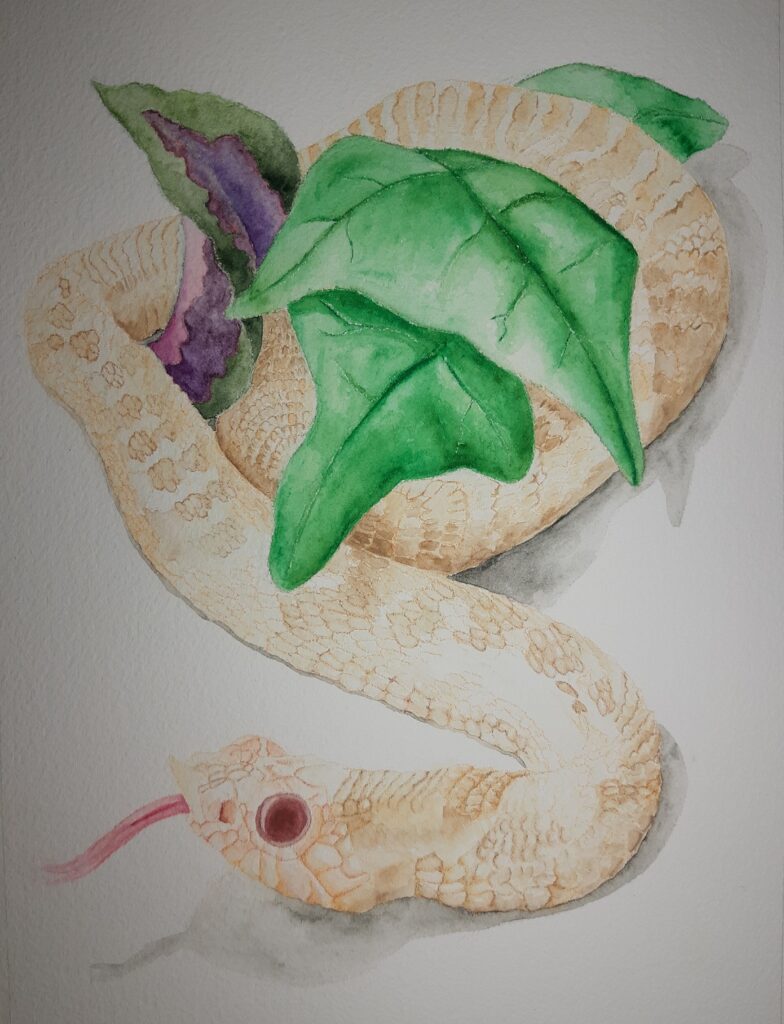 tan snake wrapped around leaves