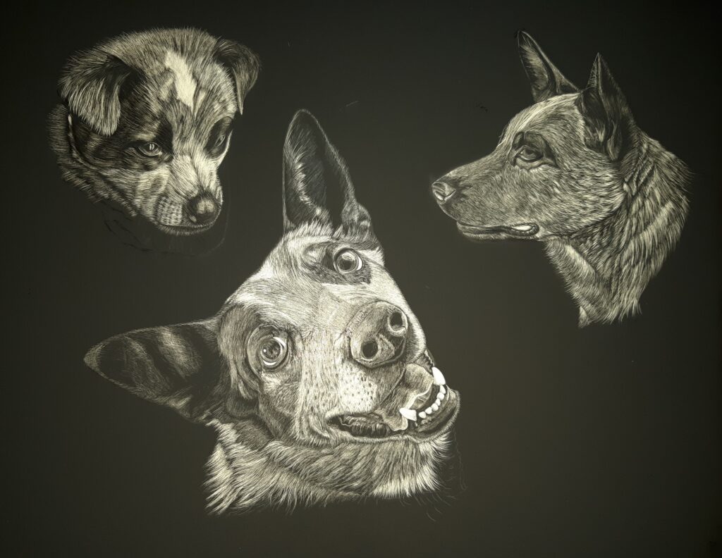 three dogs