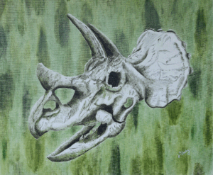 triceratops horridus