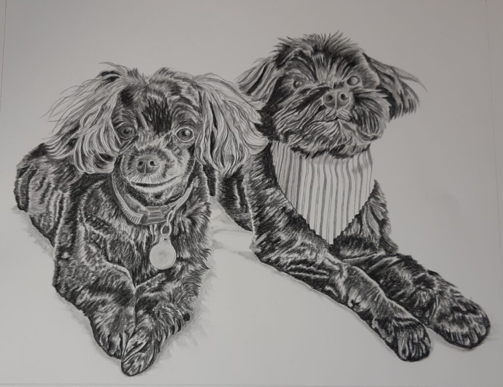 two black dogs