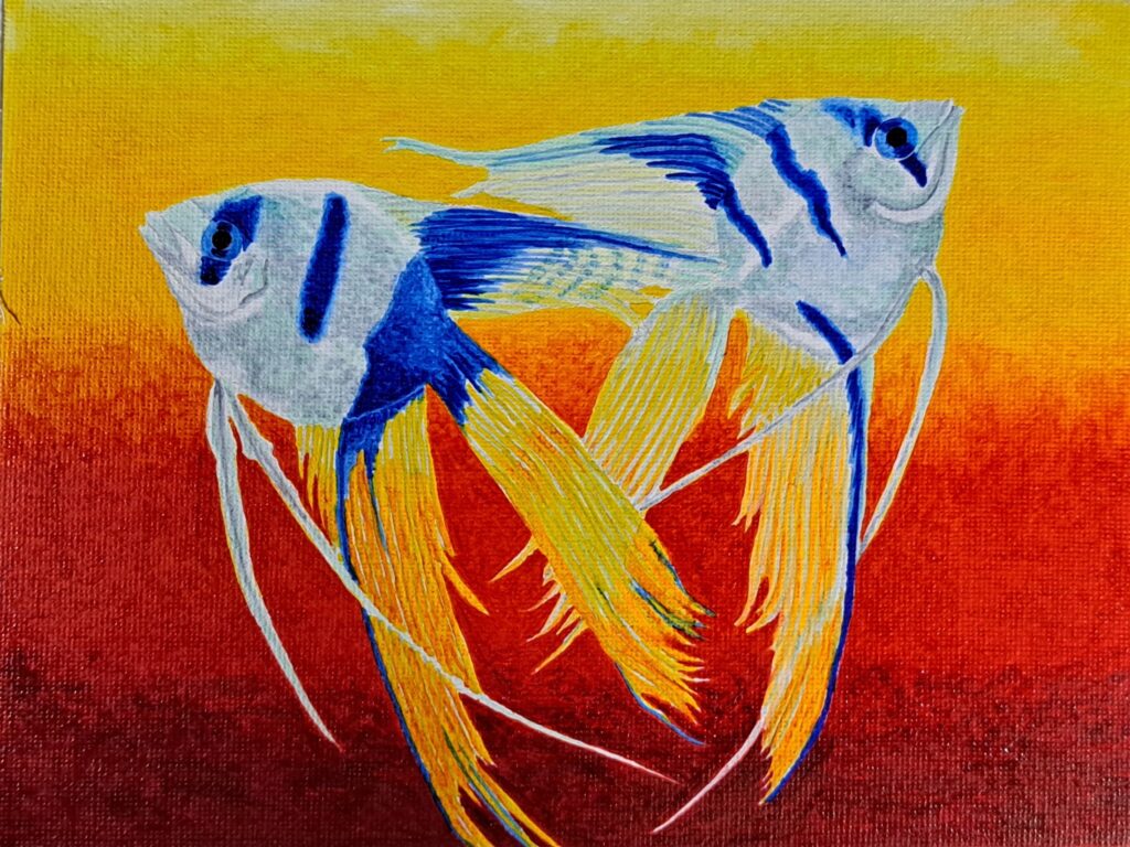 two blue and yellow fish on colorful background