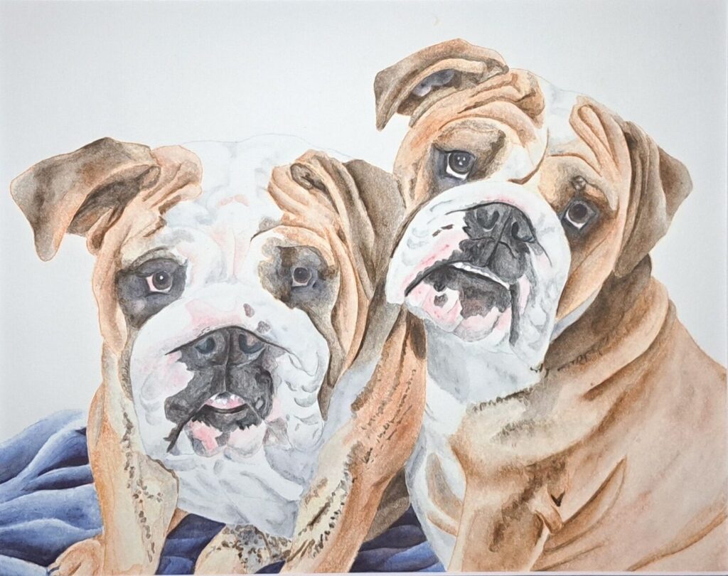 two brown and white dogs