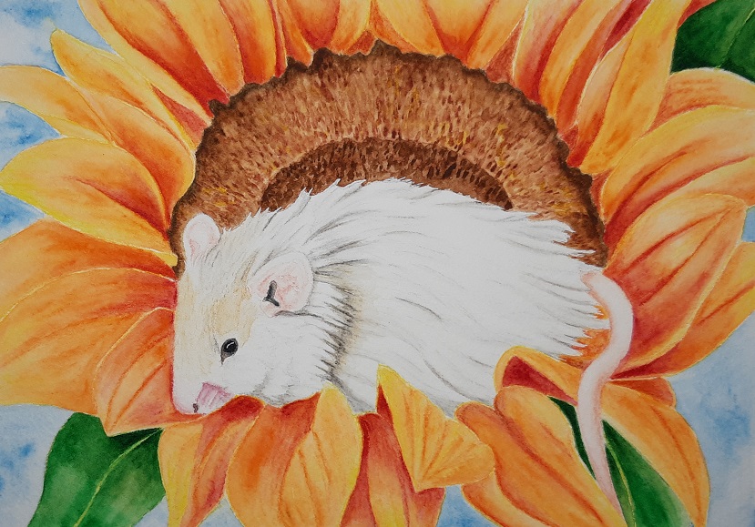 white mouse laying on floert