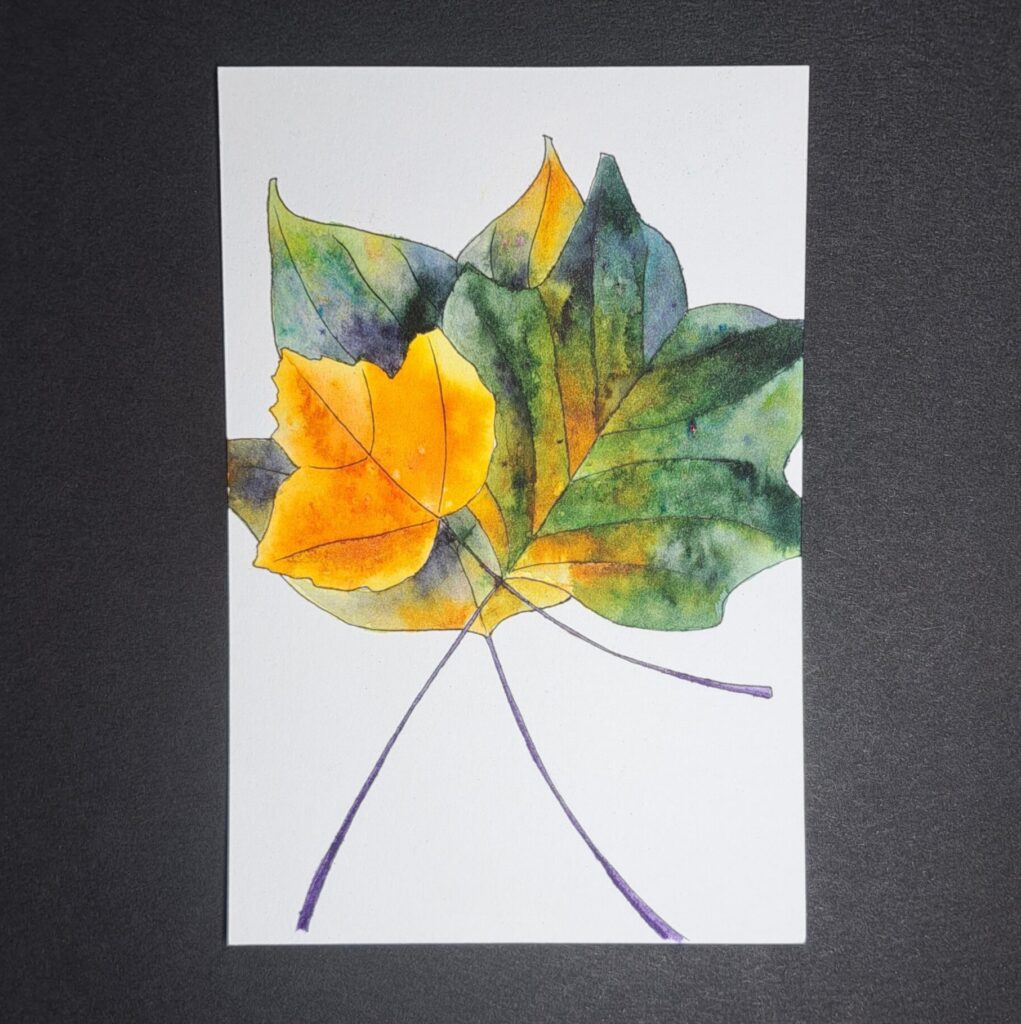 yellow and green leaves